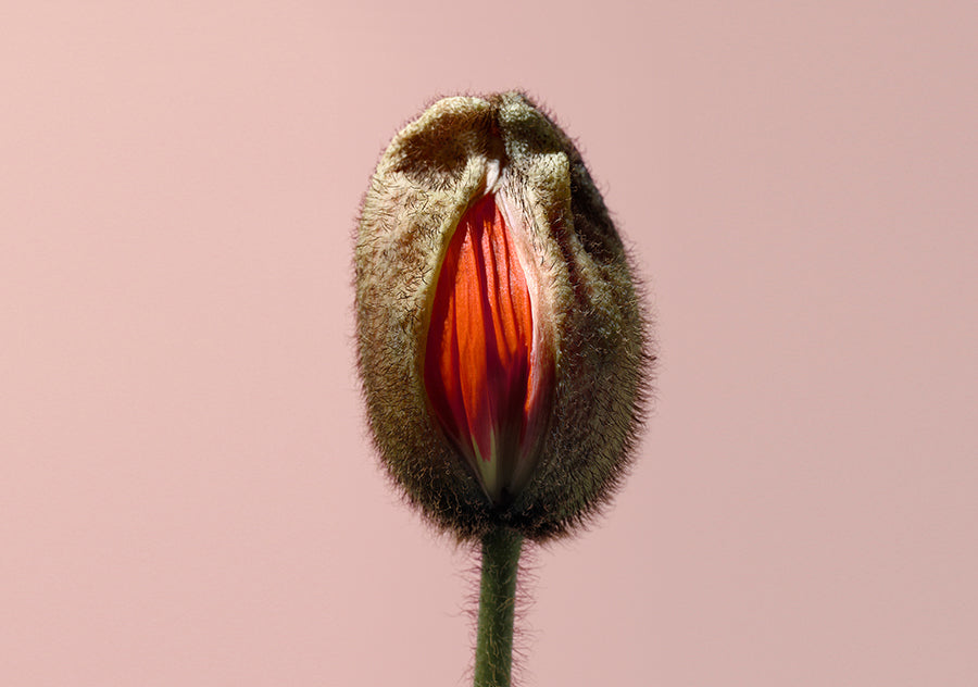 Hur kan jag behandla vaginal torrhet? - VagiVital Sweden