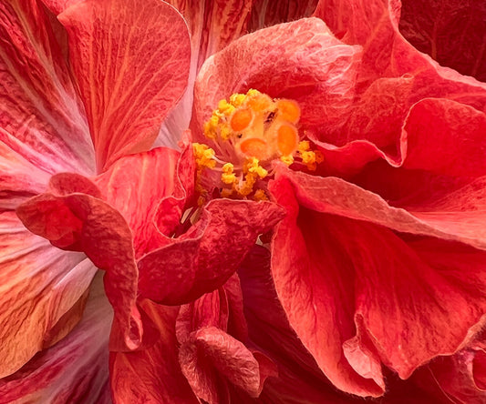 ✨Kliniskt bevisad intimvård som är självklar, naturlig och lustfylld✨ - VagiVital Sweden