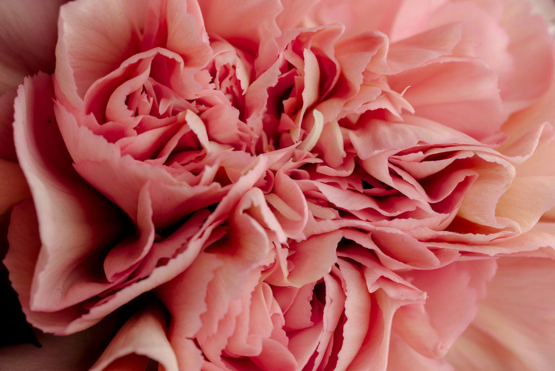 Sambandet mellan tarmflora, kost och kvinnans underliv (vagina, vulva och urinvägar) - VagiVital Sweden