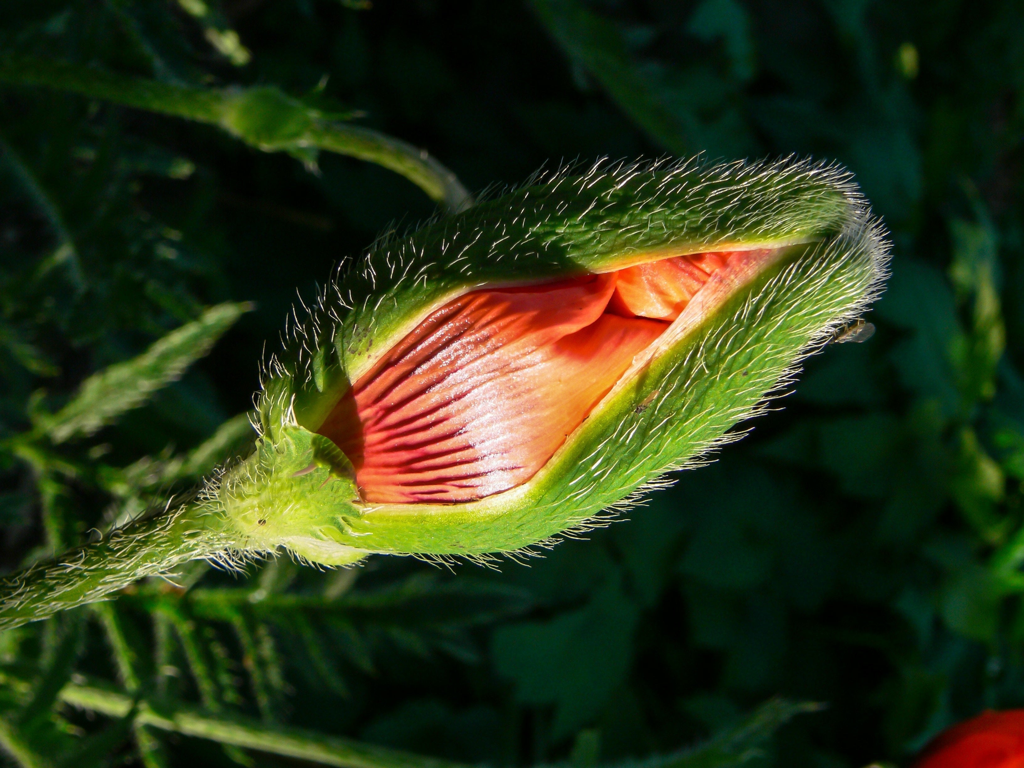 Vanliga myter om intimhälsa – vad är sant, fakta och lite tips