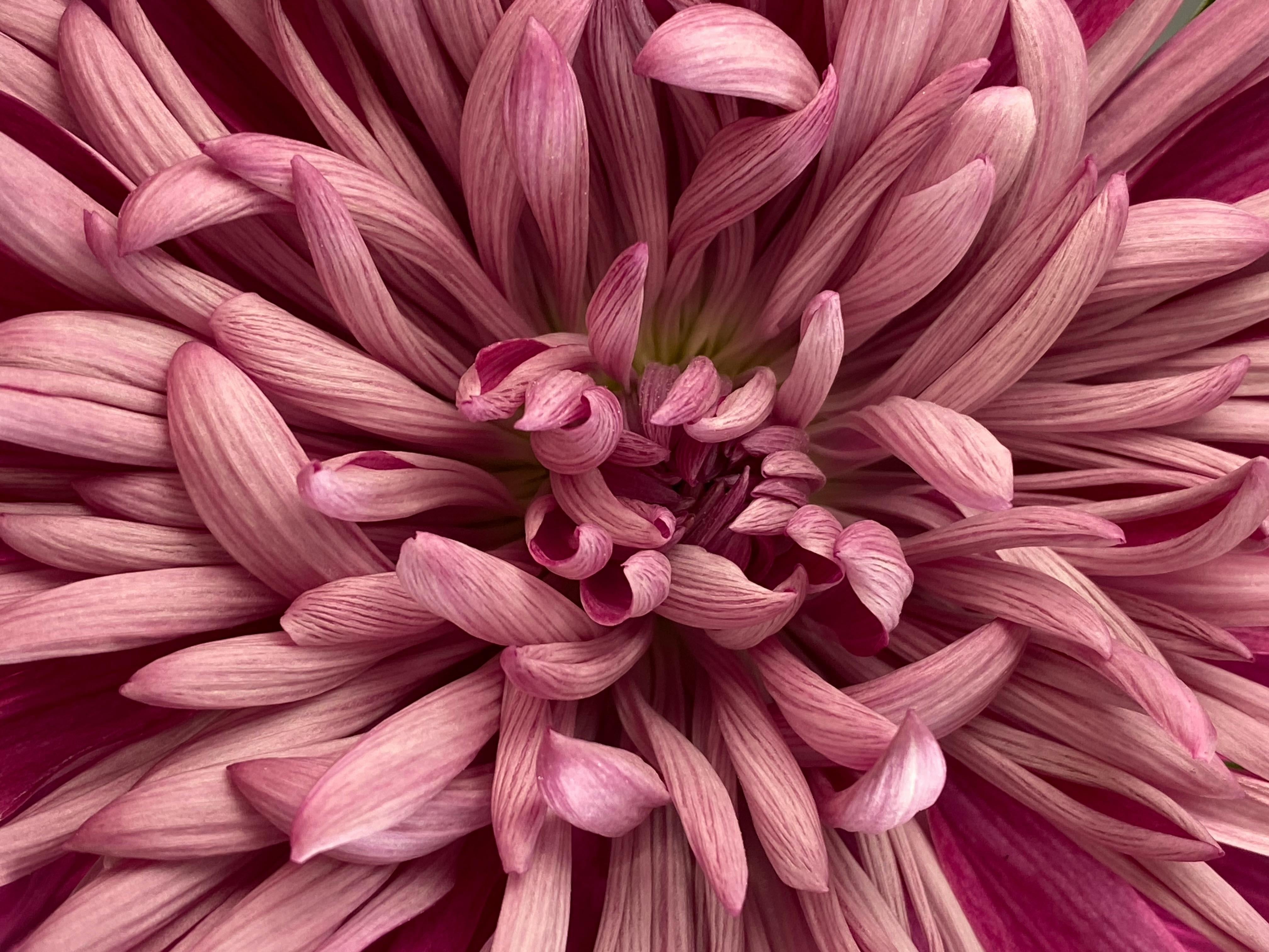 Våra icks för intimvård – tecken på att din intimvård inte är tillräckligt skonsam